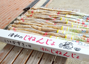 清和の自然薯