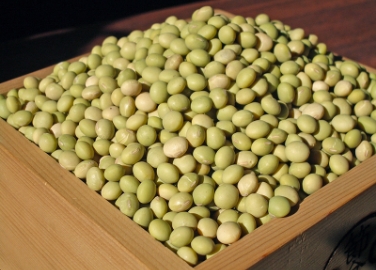 小糸在来®(大豆)