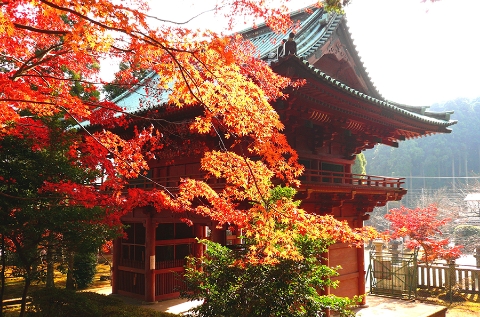 鹿野山神野寺