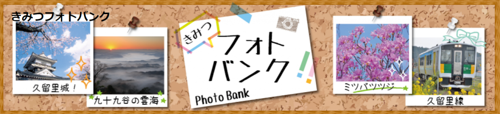 きみつフォトバンク がスタート ステキな写真できみつの新たな魅力を探してみませんか 千葉県君津市移住 定住支援ポータルサイト きみつフォトバンク がスタート ステキな写真できみつの新たな魅力を探してみませんか 千葉県君津市移住 定住支援ポータルサイト